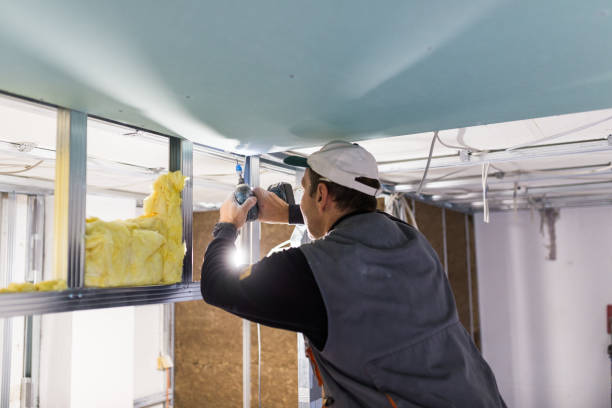 Best Cellulose Insulation in Ridgway, CO