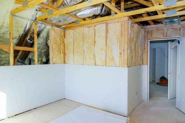 Best Spray Foam Insulation in Ridgway, CO
